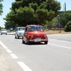 Montevago 2010 (441)